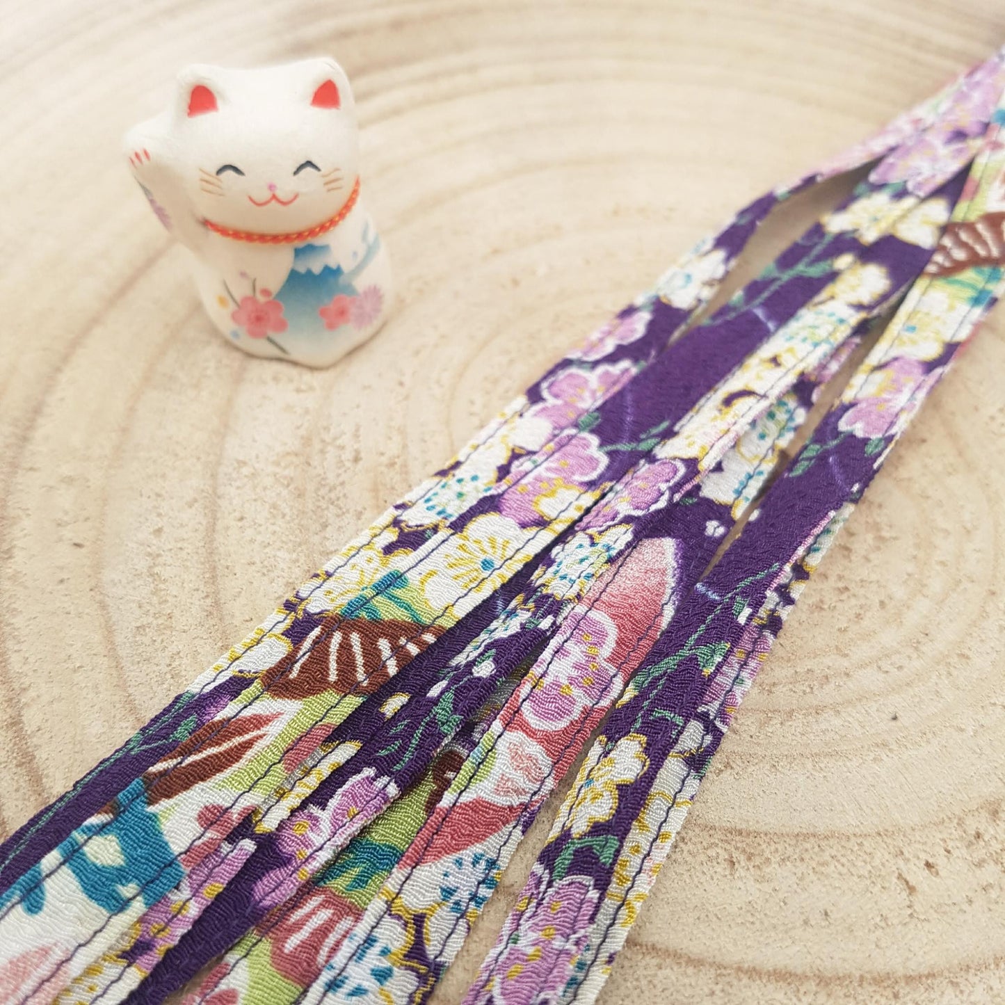 Paire de lacets colorés