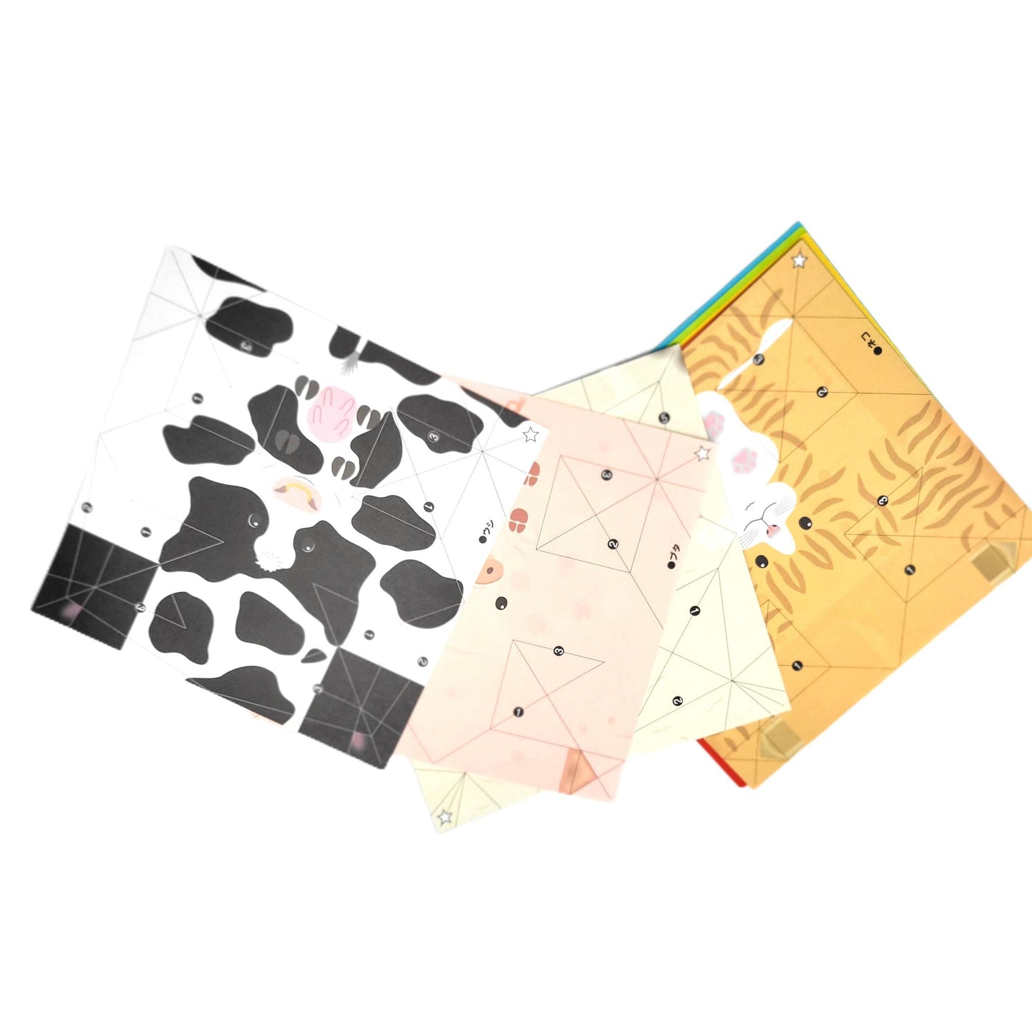 Origami Animaux "Boîtes Magiques"